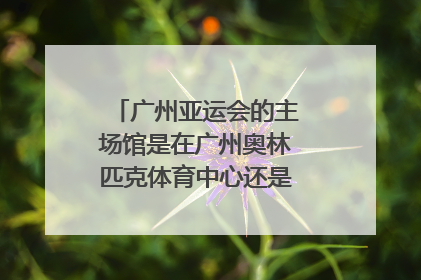 广州亚运会的主场馆是在广州奥林匹克体育中心还是在广州体育馆?