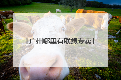 广州哪里有联想专卖