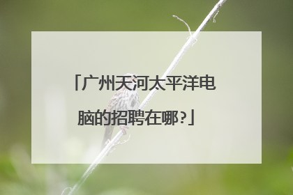 广州天河太平洋电脑的招聘在哪?