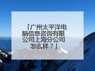 广州太平洋电脑信息咨询有限公司上海分公司怎么样?