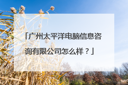 广州太平洋电脑信息咨询有限公司怎么样?
