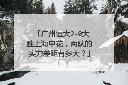 广州恒大2-0大胜上海申花，两队的实力差距有多大？