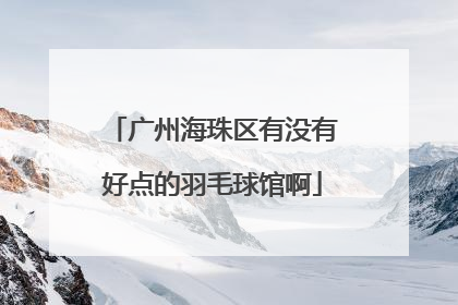 广州海珠区有没有好点的羽毛球馆啊