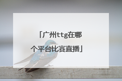 广州ttg在哪个平台比赛直播