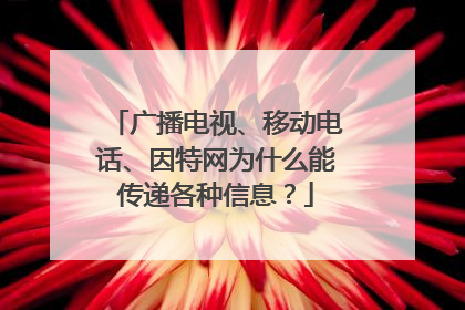 广播电视、移动电话、因特网为什么能传递各种信息?