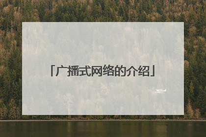 广播式网络的介绍