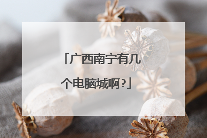 广西南宁有几个电脑城啊?