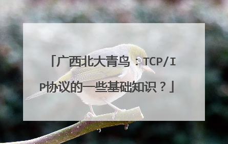广西北大青鸟：TCP/IP协议的一些基础知识？