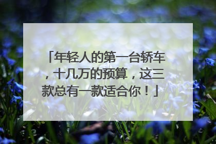 年轻人的第一台轿车，十几万的预算，这三款总有一款适合你！