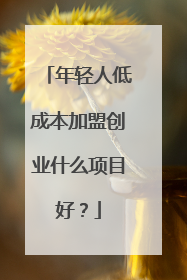 年轻人低成本加盟创业什么项目好？