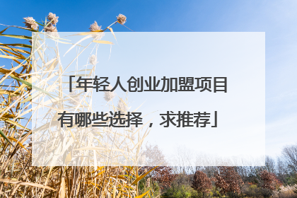 年轻人创业加盟项目有哪些选择，求推荐