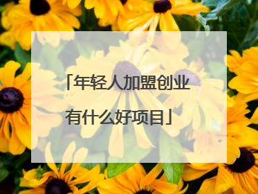 年轻人加盟创业有什么好项目