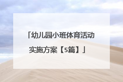 幼儿园小班体育活动实施方案【5篇】