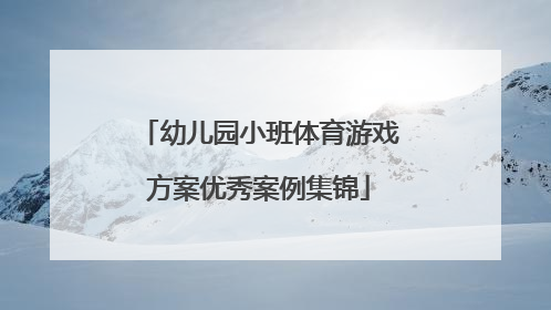 幼儿园小班体育游戏方案优秀案例集锦