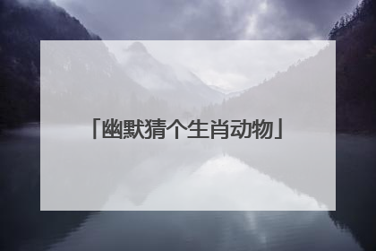 幽默猜个生肖动物