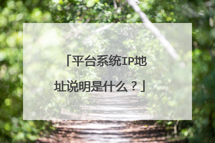 平台系统IP地址说明是什么?