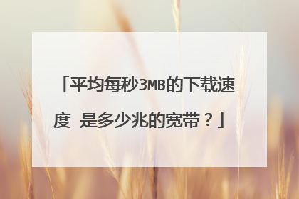 平均每秒3MB的下载速度 是多少兆的宽带?