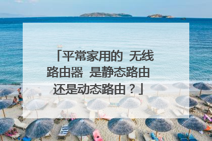平常家用的 无线路由器 是静态路由还是动态路由？