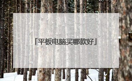 平板电脑买哪款好