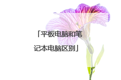 平板电脑和笔记本电脑区别