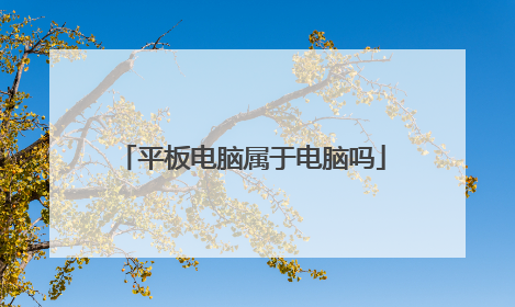 平板电脑属于电脑吗