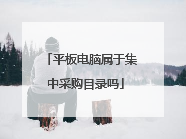 平板电脑属于集中采购目录吗