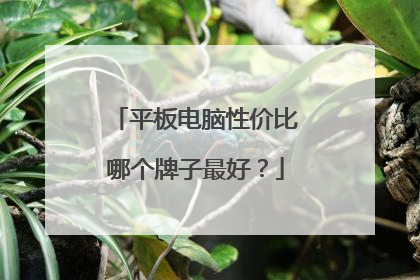 平板电脑性价比哪个牌子最好?