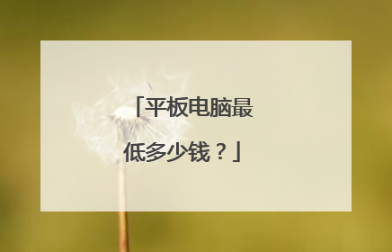 平板电脑最低多少钱？