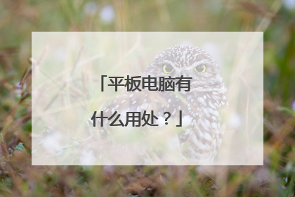 平板电脑有什么用处？