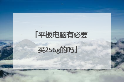 平板电脑有必要买256g的吗