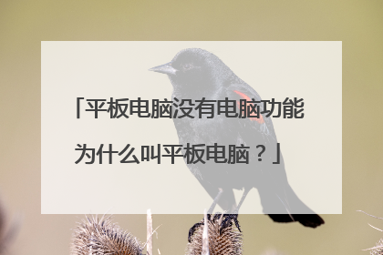 平板电脑没有电脑功能为什么叫平板电脑?