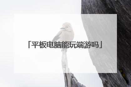 平板电脑能玩端游吗