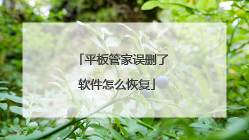 平板管家误删了软件怎么恢复