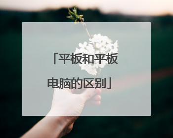 平板和平板电脑的区别