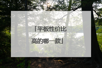 平板性价比高的哪一款