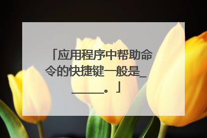 应用程序中帮助命令的快捷键一般是______。