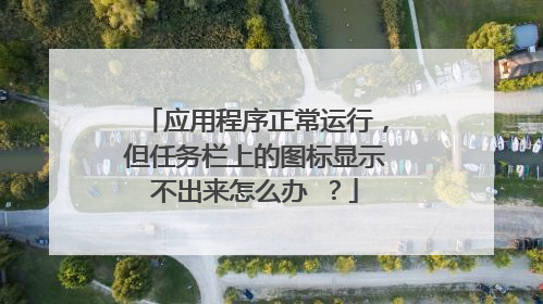 应用程序正常运行，但任务栏上的图标显示不出来怎么办 ？