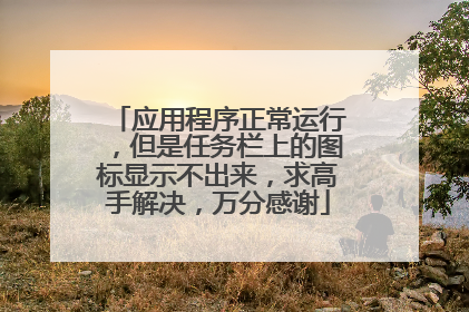 应用程序正常运行，但是任务栏上的图标显示不出来，求高手解决，万分感谢