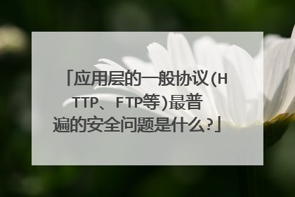 应用层的一般协议(HTTP、FTP等)最普遍的安全问题是什么?