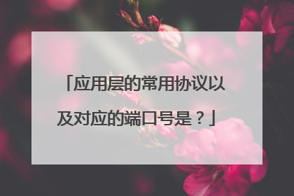 应用层的常用协议以及对应的端口号是?