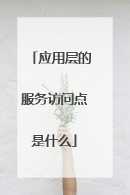 应用层的服务访问点是什么