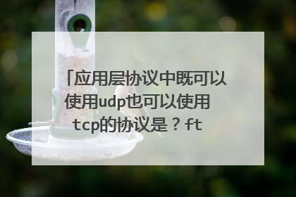 应用层协议中既可以使用udp也可以使用tcp的协议是?ftp还是dns