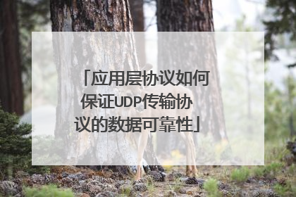 应用层协议如何保证UDP传输协议的数据可靠性