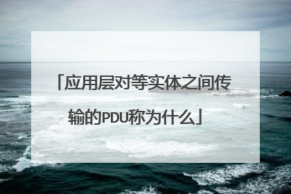 应用层对等实体之间传输的PDU称为什么