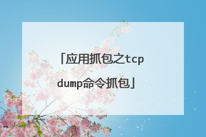 应用抓包之tcpdump命令抓包