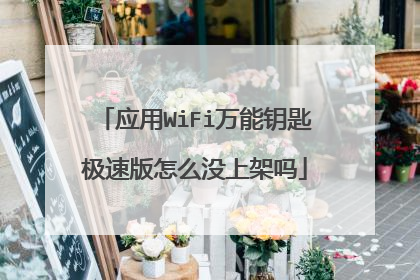 应用WiFi万能钥匙极速版怎么没上架吗