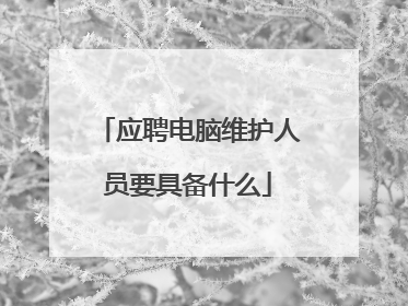 应聘电脑维护人员要具备什么