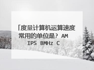 度量计算机运算速度常用的单位是? AMIPS BMHz CMB DMbps
