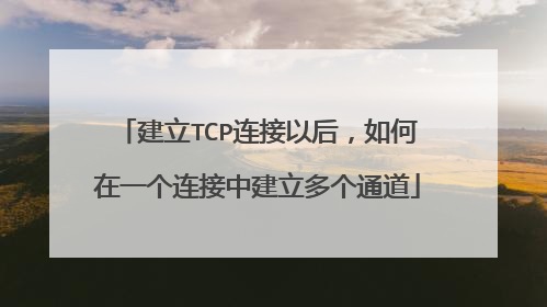 建立TCP连接以后,如何在一个连接中建立多个通道