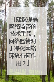 建议提高网络监管的技术手段，网络监管对于净化网络环境有何作用？